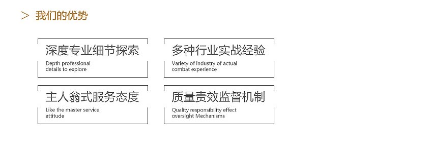 我們的優(yōu)勢(shì)